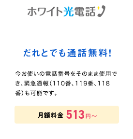 ホワイト光電話 だれとでも通話無料 月額料金513円～