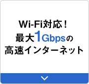 Wi-Fi対応！最大1Gbpsの高速インターネット