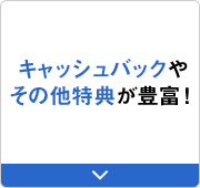 キャッシュバックやその他特典が豊富