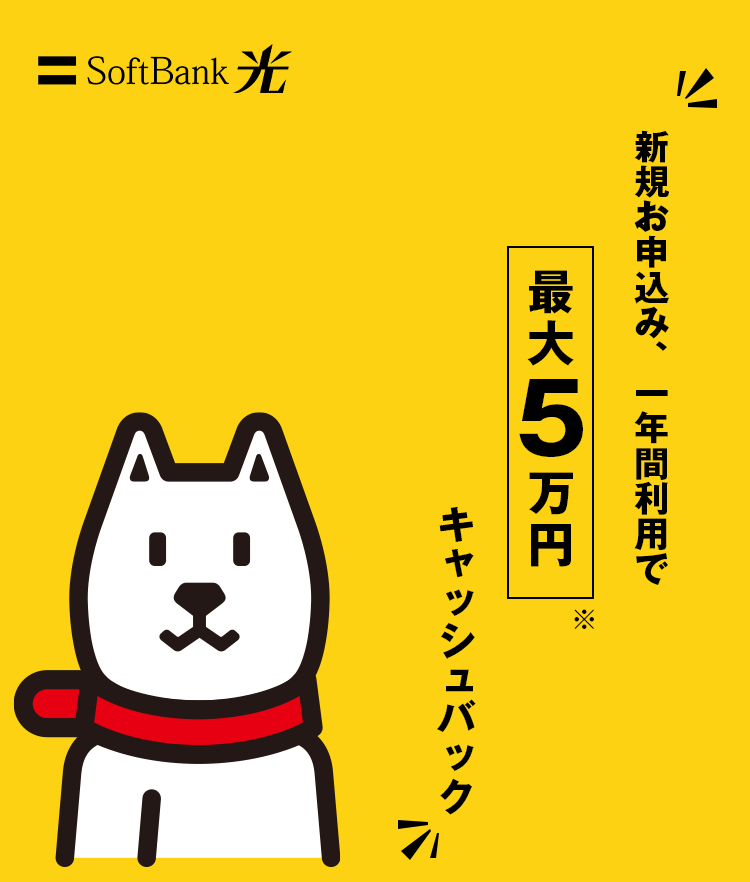 新規お申込み、一年間利用で最大5万円キャッシュバック