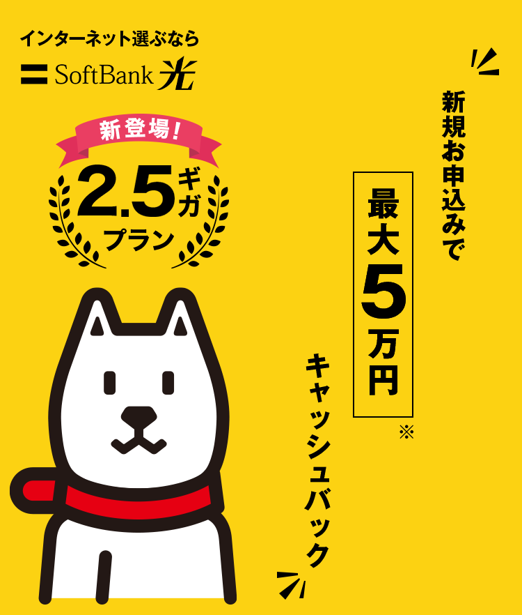 新規お申込み、一年間利用で最大5万円キャッシュバック