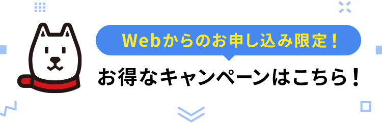 お得なキャンペーンはこちら！