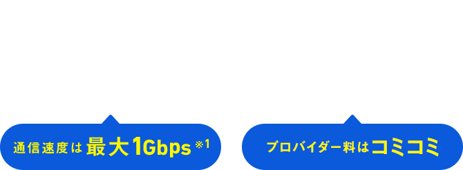実質月額2,080円~