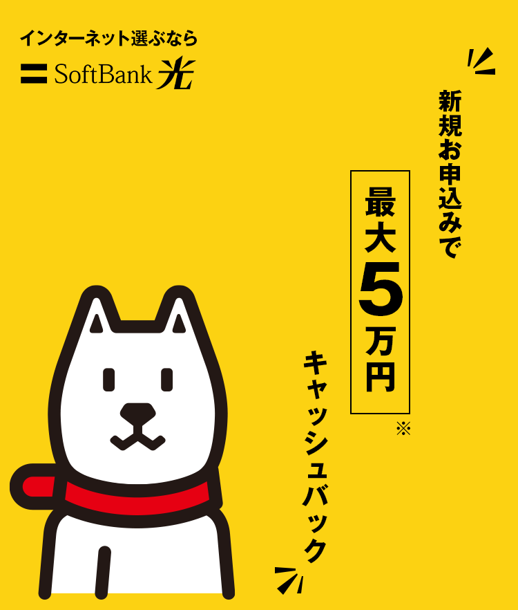 新規お申込みで最大5万円キャッシュバック