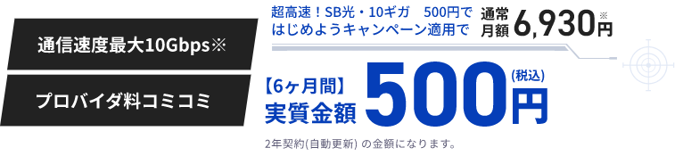 6カ月間 実質金額500円