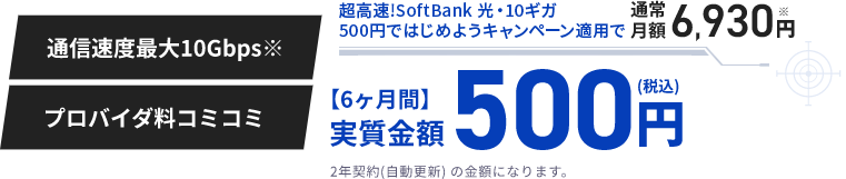 6カ月間 実質金額500円