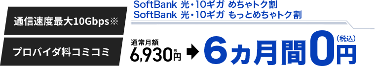 6カ月間 0円