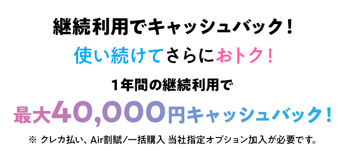 WiFi革命セット 4万円キャッシュバック