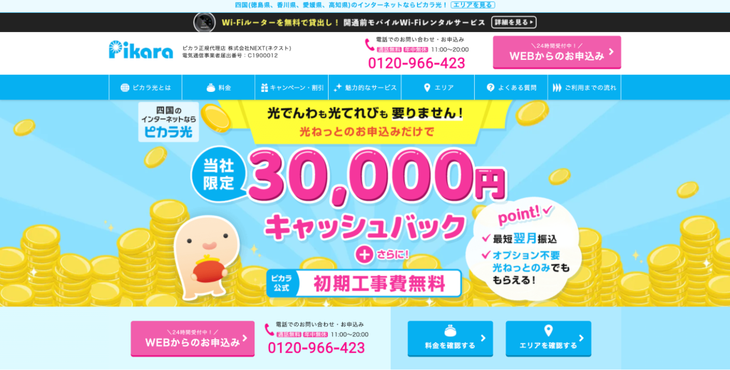 ピカラ光