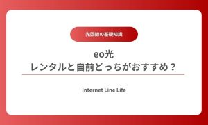 eo光 ルーター レンタル 自前