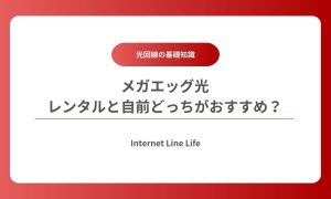 メガエッグ光 ルーター レンタル 自前
