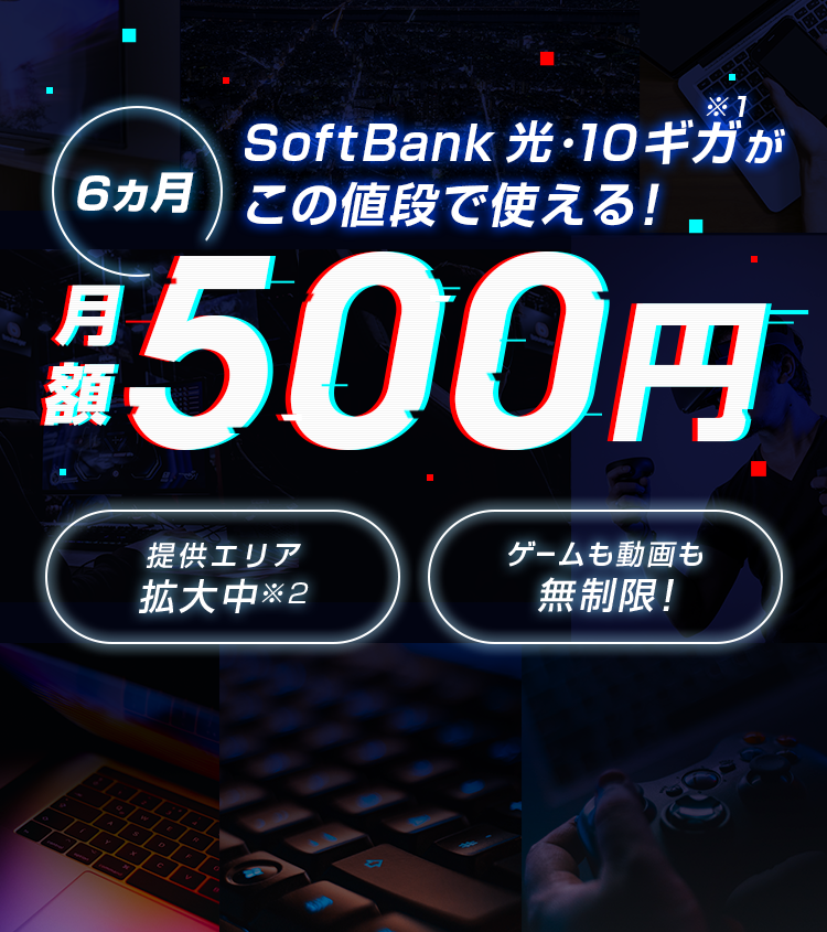 6カ月 月額500円