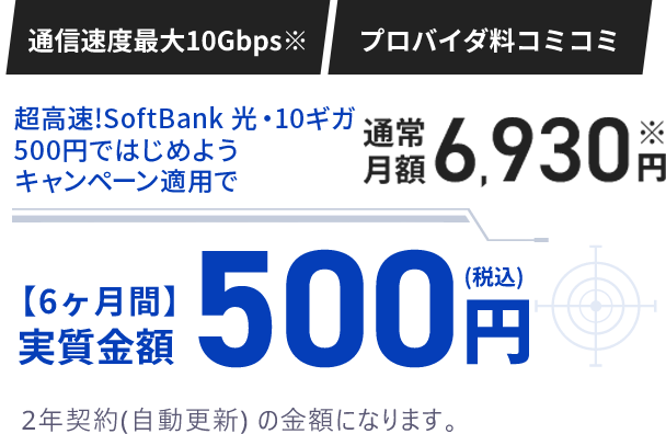 6カ月間 実質金額500円